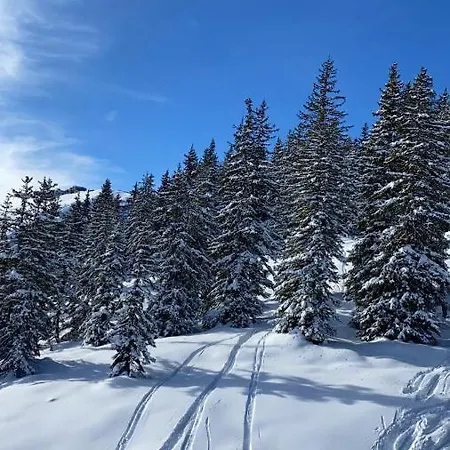 Alpinresort 1 * Kaprun