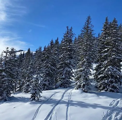 Alpinresort 1 * Kaprun